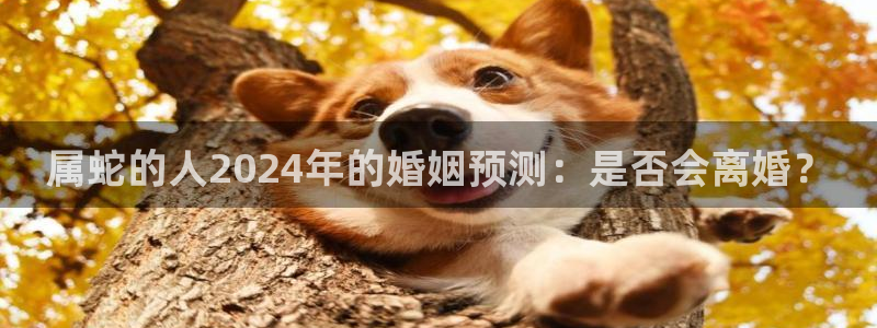 赢乐app下载安装