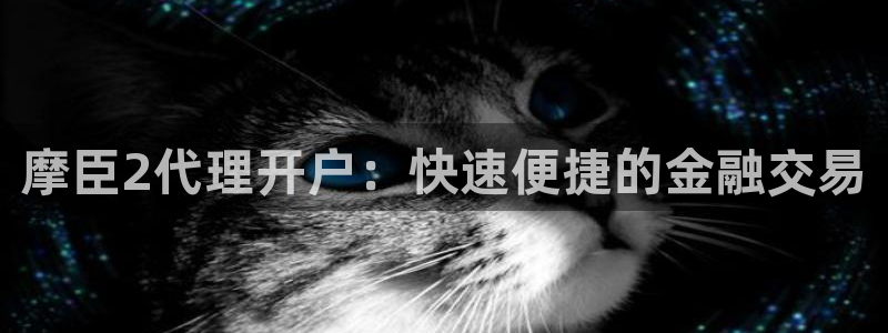 赢乐宝app下载