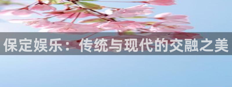 赢乐棋盘