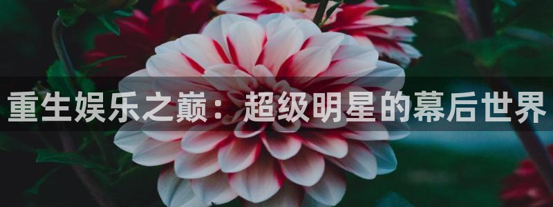 赢乐大厅官网.facca.中国