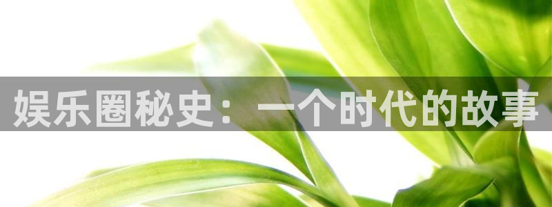 大满贯网址