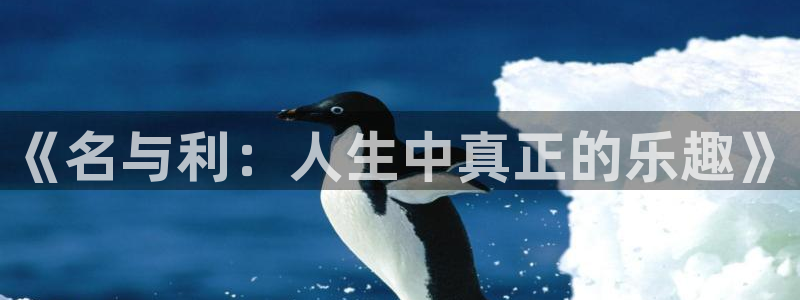 商赢乐点
