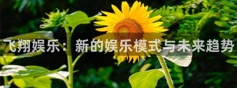 赢乐网官网