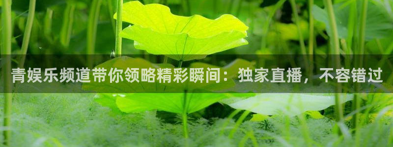 赢乐网官网