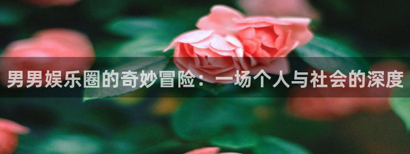 赢乐：男男娱乐圈的奇妙冒险：一场个人与社会的深度