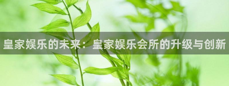人生就是搏手机版：皇家娱乐的未来：皇家娱乐会所的升级与创新