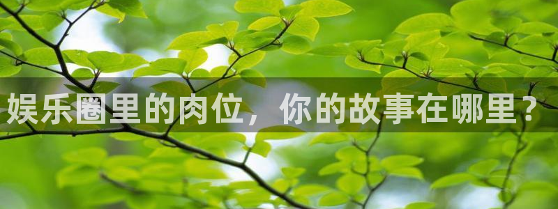 赢乐平台：娱乐圈里的肉位，你的故事在哪里？