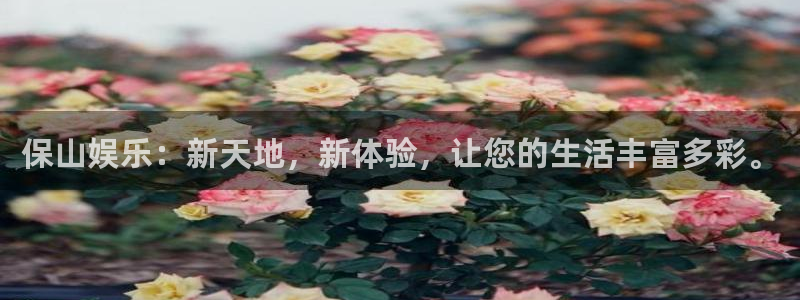 赢乐app下载安装：保山娱乐：新天地，新体验，让您的生活丰富多彩。