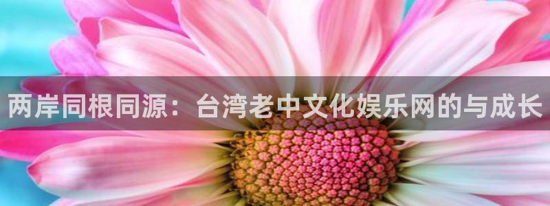 大满贯网址：两岸同根同源：台湾老中文化娱乐网的与成长