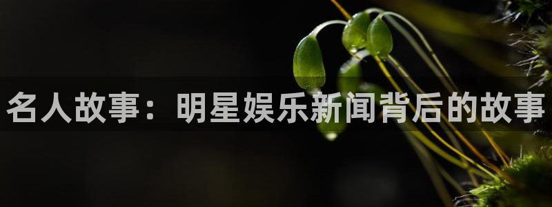 人生就是搏手机版：名人故事：明星娱乐新闻背后的故事