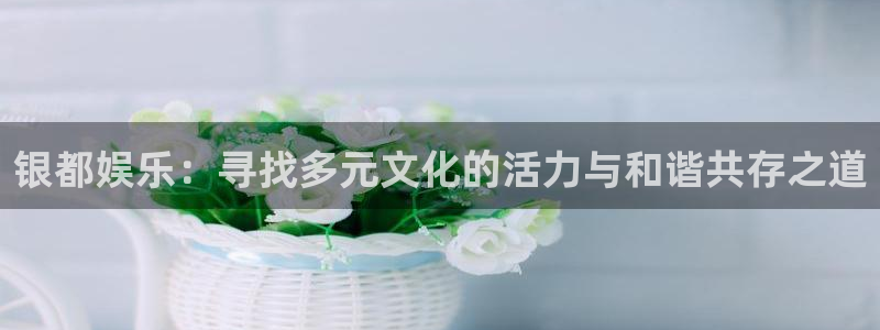 赢乐娱乐：银都娱乐：寻找多元文化的活力与和谐共存之道