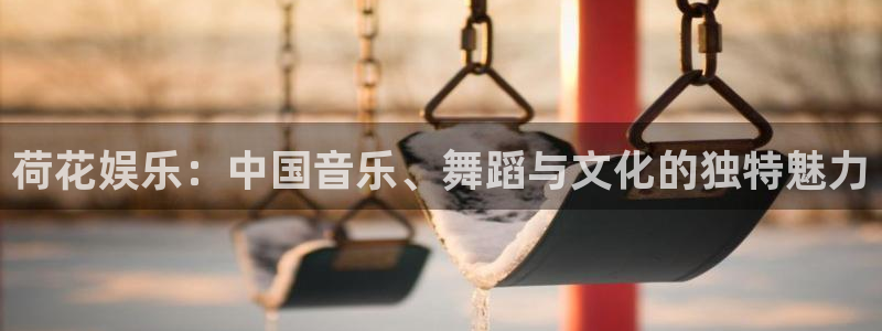 赢乐app官网下载：荷花娱乐：中国音乐、舞蹈与文化的独特魅力