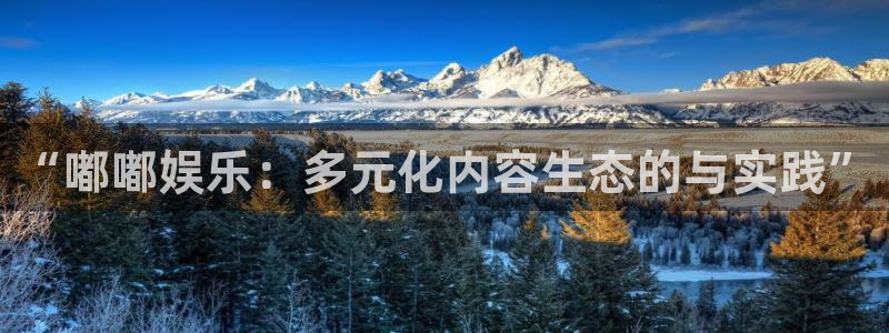 赢乐网官网：“嘟嘟娱乐：多元化内容生态的与实践”