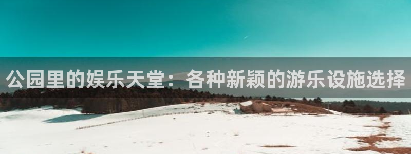 商赢乐点：公园里的娱乐天堂：各种新颖的游乐设施选择