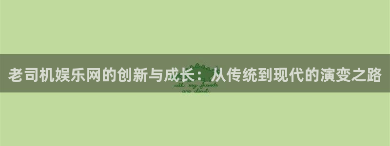 赢乐棋盘：老司机娱乐网的创新与成长：从传统到现代的演变之路