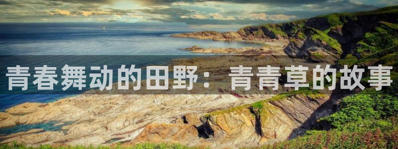 赢乐彩票官网：青春舞动的田野：青青草的故事