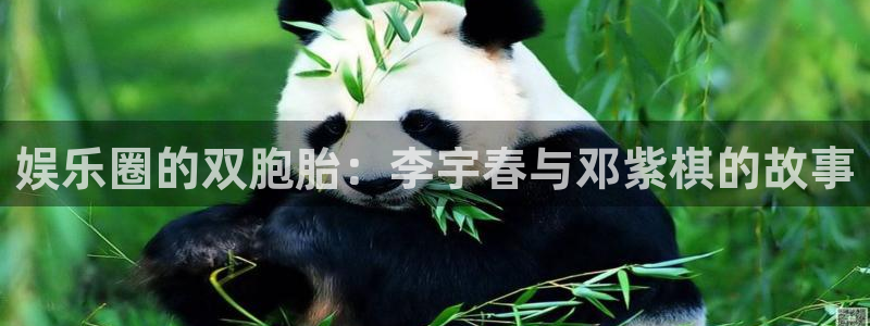 赢乐：娱乐圈的双胞胎：李宇春与邓紫棋的故事
