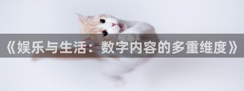 赢乐平台：《娱乐与生活：数字内容的多重维度》