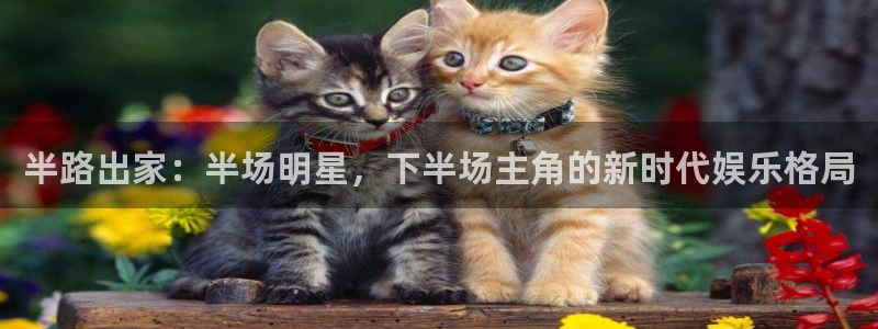 赢乐app下载安装：半路出家：半场明星，下半场主角的新时代娱乐格局