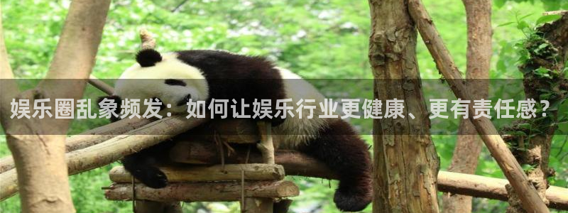 赢乐棋盘：娱乐圈乱象频发：如何让娱乐行业更健康、更有责任感？