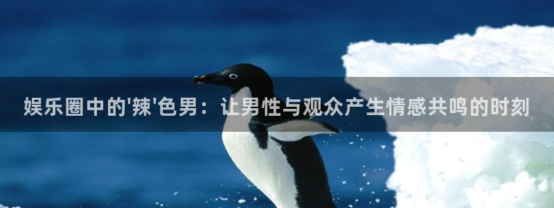 赢乐平台：娱乐圈中的\'辣\'色男：让男性与观众产生情感共鸣的时刻