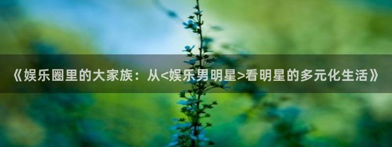 赢乐大厅官网.facca.中国：《娱乐圈里的大家族：从<娱乐男明星>看明星的多元化生活》