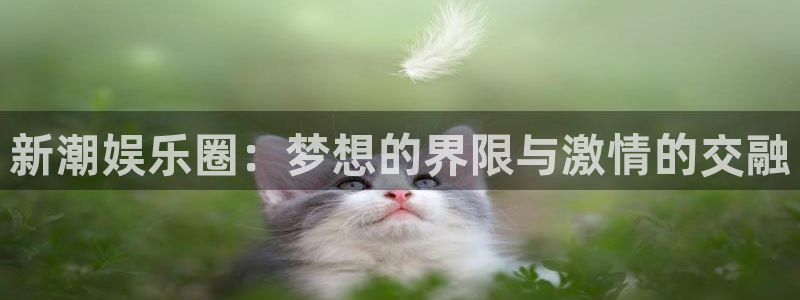 赢乐棋盘：新潮娱乐圈：梦想的界限与激情的交融