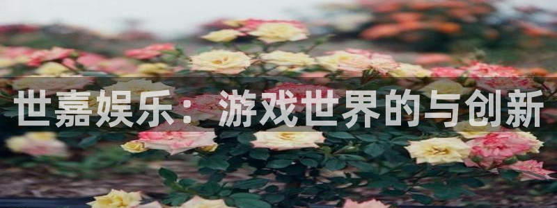 赢乐棋盘：世嘉娱乐：游戏世界的与创新