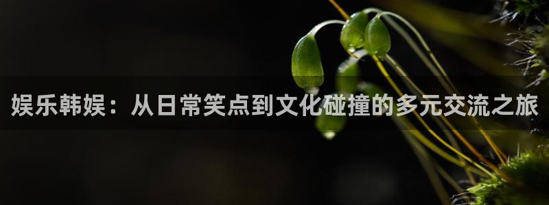 赢乐app官网下载：娱乐韩娱：从日常笑点到文化碰撞的多元交流之旅