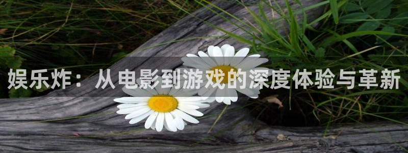 赢乐网官网：娱乐炸：从电影到游戏的深度体验与革新